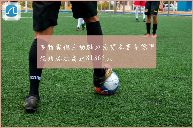 多特蒙德主场魅力无穷本赛季德甲场均观众高达81365人