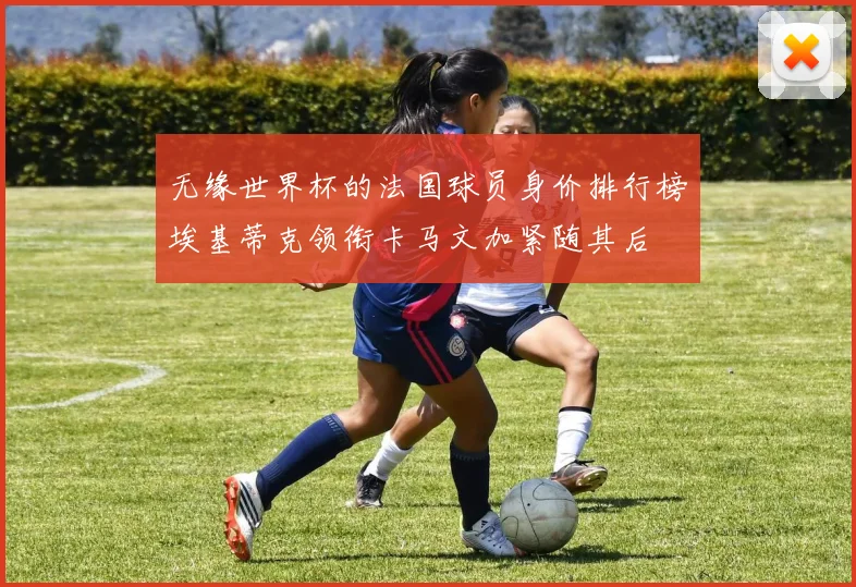 无缘世界杯的法国球员身价排行榜埃基蒂克领衔卡马文加紧随其后